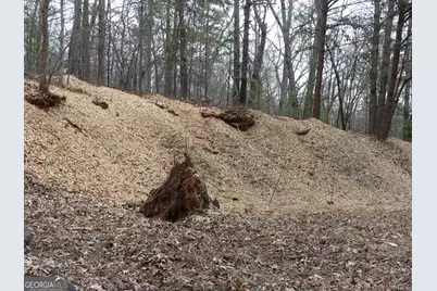 807 Satterfield Road, Cleveland, GA 30528 - Photo 99