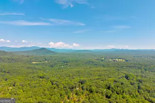 807 Satterfield Rd, Cleveland, GA 30528 - Photo 77