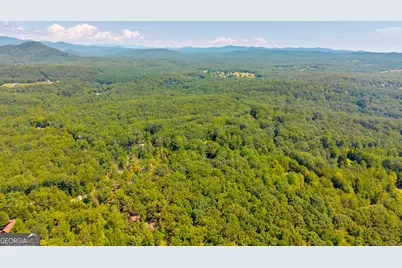 807 Satterfield Road, Cleveland, GA 30528 - Photo 69