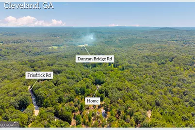 807 Satterfield Road, Cleveland, GA 30528 - Photo 81