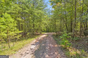 807 Satterfield Rd, Cleveland, GA 30528 - Photo 87