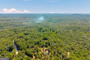 807 Satterfield Rd, Cleveland, GA 30528 - Photo 83