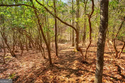 181 Henry Street, Cleveland, GA 30528 - Photo 63