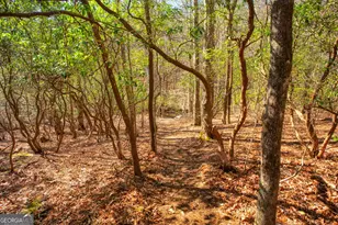 181 Henry St, Cleveland, GA 30528 - Photo 63