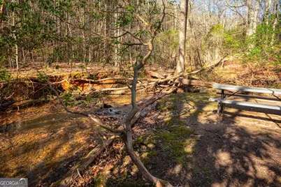 181 Henry Street, Cleveland, GA 30528 - Photo 65