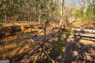 181 Henry St, Cleveland, GA 30528 - Photo 65