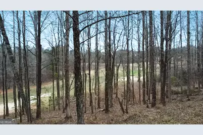 109 River Forest Drive, Forsyth, GA 31029 - Photo 51