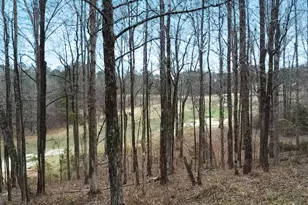 109 River Forest Dr, Forsyth, GA 31029 - Photo 51