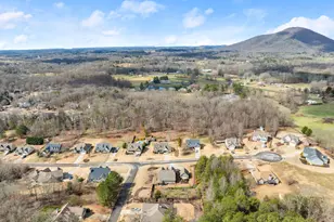 6728 Little Whistle Way, Clermont, GA 30527 - Photo 53