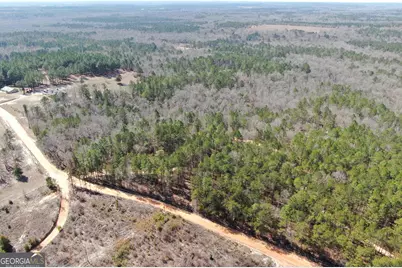 0 Suddeth Road, Butler, GA 31006 - Photo 3