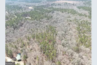 0 Suddeth Road, Butler, GA 31006 - Photo 9