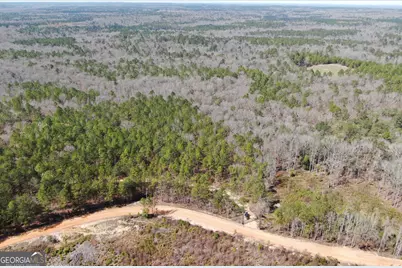 0 Suddeth Road, Butler, GA 31006 - Photo 1