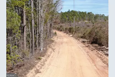 0 Suddeth Road, Butler, GA 31006 - Photo 11