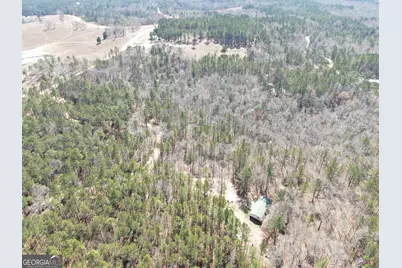 0 Suddeth Road, Butler, GA 31006 - Photo 5