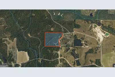 0 Suddeth Road, Butler, GA 31006 - Photo 13