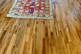 338 Orchard Hill Rd, Dahlonega, GA 30533 - Photo 23