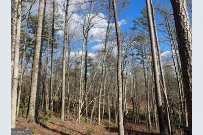 Lot# 208 Pinnacle Drive, Ellijay, GA 30540 - Photo 19