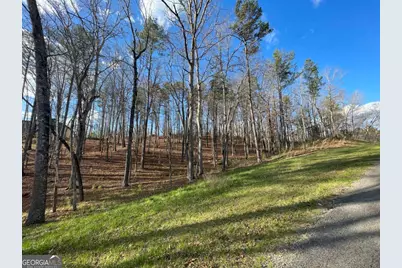 Lot# 208 Pinnacle Drive, Ellijay, GA 30540 - Photo 9