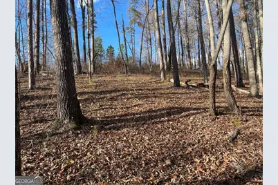 Lot# 208 Pinnacle Drive, Ellijay, GA 30540 - Photo 15