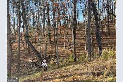 Lot# 208 Pinnacle Drive, Ellijay, GA 30540 - Photo 3