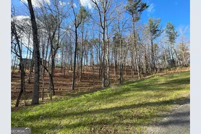 Lot# 208 Pinnacle Drive, Ellijay, GA 30540 - Photo 7