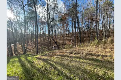 Lot# 208 Pinnacle Drive, Ellijay, GA 30540 - Photo 5