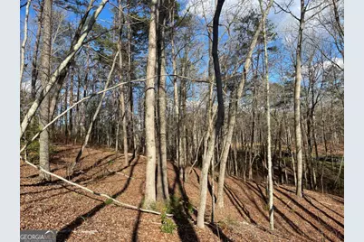 Lot# 208 Pinnacle Drive, Ellijay, GA 30540 - Photo 21