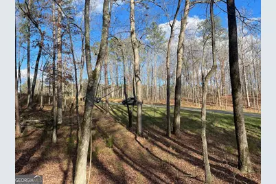 Lot# 208 Pinnacle Drive, Ellijay, GA 30540 - Photo 11