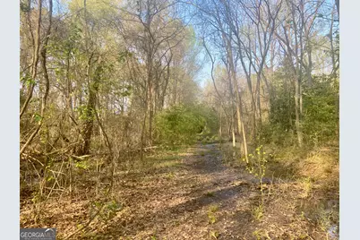 0 Moseley Road, Byron, GA 31008 - Photo 5