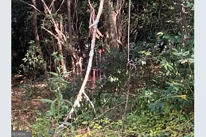 0 Moseley Road, Byron, GA 31008 - Photo 9