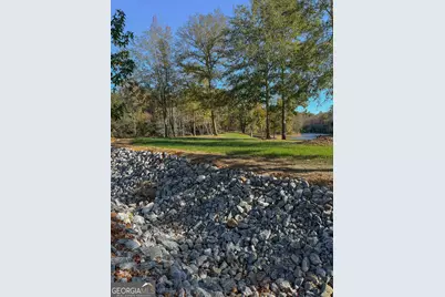 11709 Ga-1, Lumpkin, GA 31815 - Photo 25