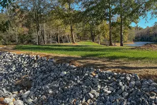 11709 Ga-1, Lumpkin, GA 31815 - Photo 25