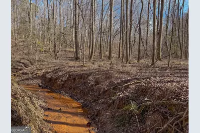 11709 Ga-1, Lumpkin, GA 31815 - Photo 27