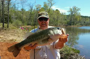 11709 Ga-1, Lumpkin, GA 31815 - Photo 37