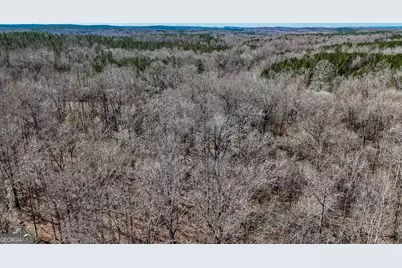 11709 Ga-1, Lumpkin, GA 31815 - Photo 25