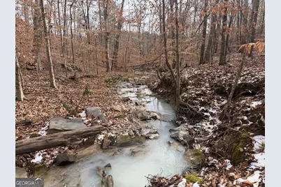 1142 Whiteside Drive, Elberton, GA 30635 - Photo 9