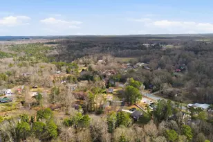 164 Robinhood Dr, Clarkesville, GA 30523 - Photo 49