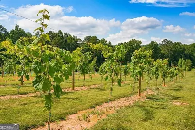 119 Inland Drive, Talking Rock, GA 30175 - Photo 17