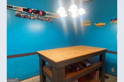 290 Cardinal Lane, Toccoa, GA 30577 - Photo 19