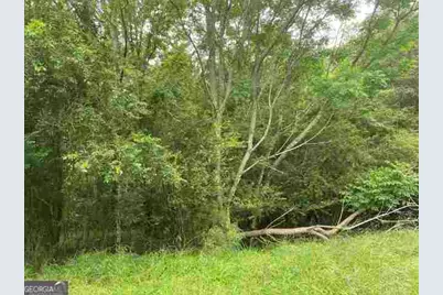 0 River Birch Lane #LOT 9, Colbert, GA 30628 - Photo 1