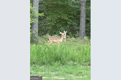 1270 McGarity Road, Temple, GA 30179 - Photo 55