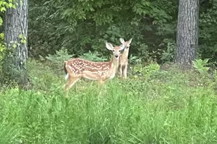 1270 McGarity Rd, Temple, GA 30179 - Photo 55