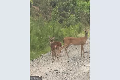 1270 McGarity Road, Temple, GA 30179 - Photo 57