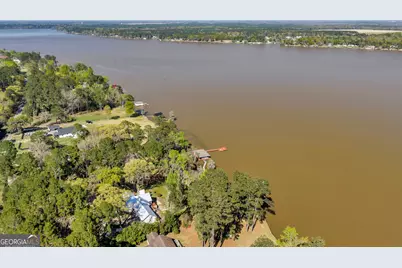 655 Flintside Drive, Cobb, GA 31735 - Photo 67