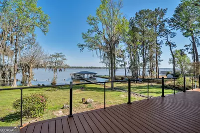 655 Flintside Drive, Cobb, GA 31735 - Photo 41
