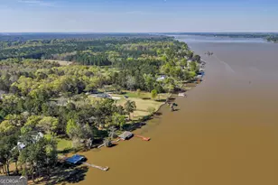 655 Flintside Dr, Cobb, GA 31735 - Photo 69