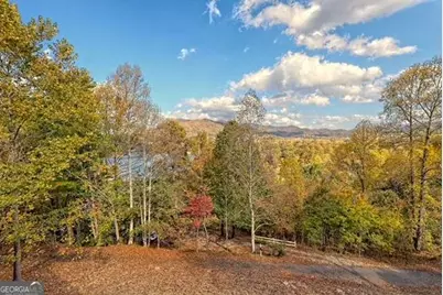 156 Brer Fox Ridge Road, Hiawassee, GA 30546 - Photo 55