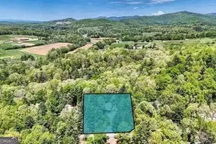 125 Autumn Ln, Blairsville, GA 30512 - Photo 45