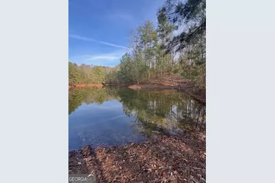 208 Lake Forest Drive, Ellijay, GA 30540 - Photo 17