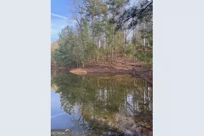 208 Lake Forest Drive, Ellijay, GA 30540 - Photo 15